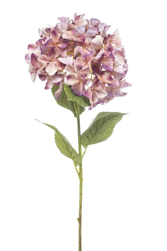 VIEM072 XL Hydrangea Peach/Purple 90cm
